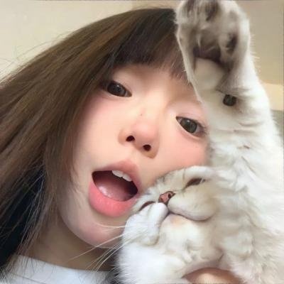 顽猫斗俏鼠